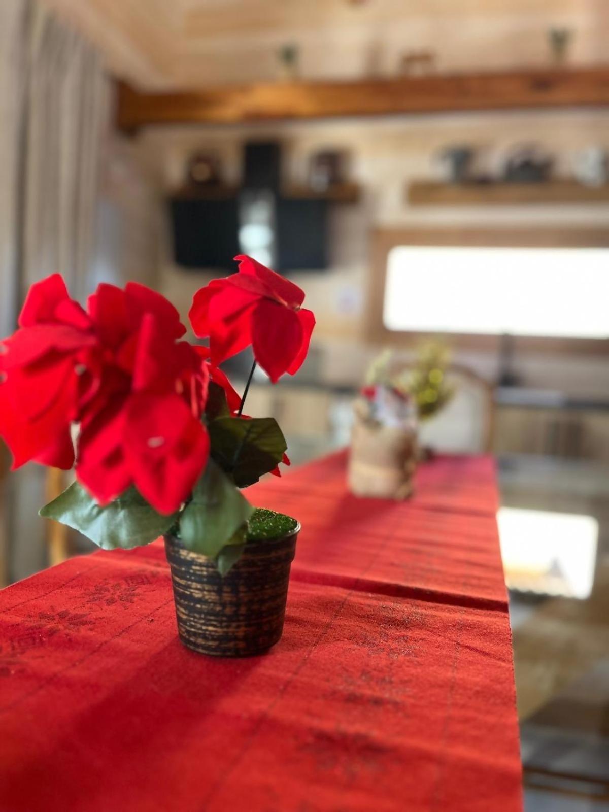 Luxury Rural Cuenca Villas Zewnętrze zdjęcie