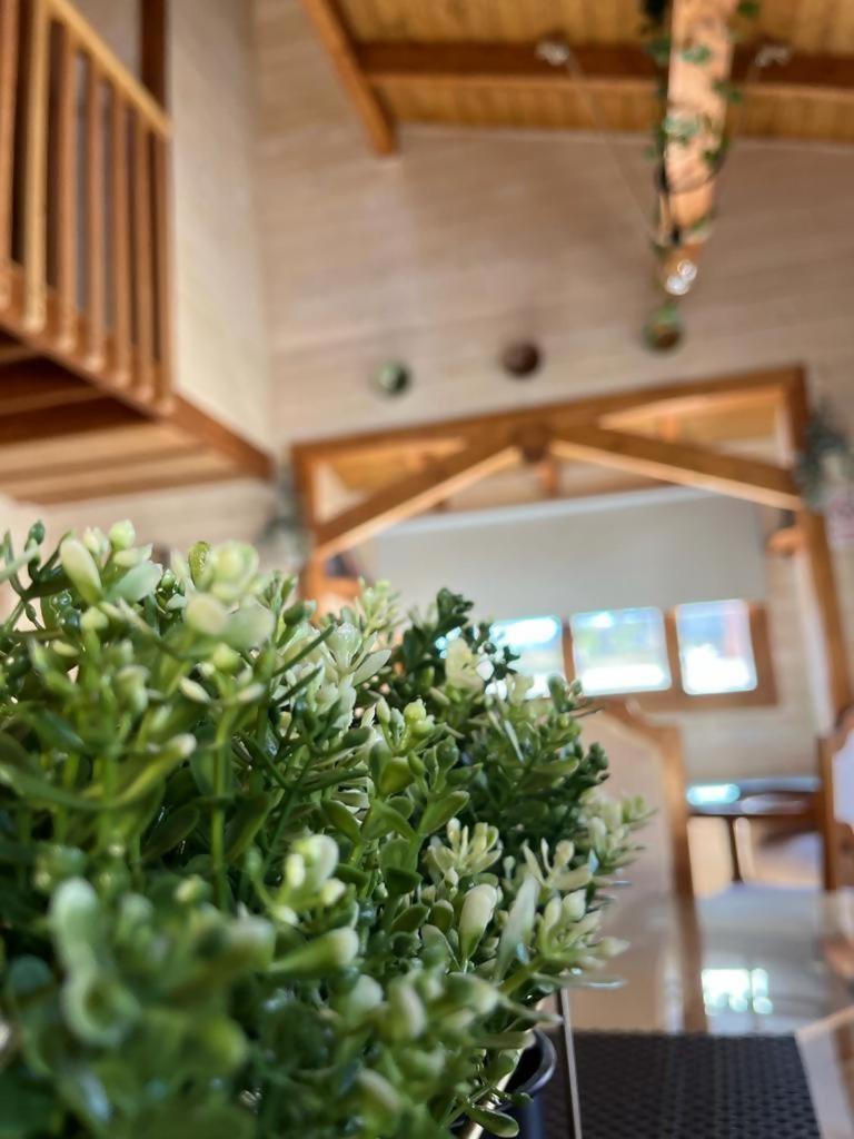 Luxury Rural Cuenca Villas Pokój zdjęcie